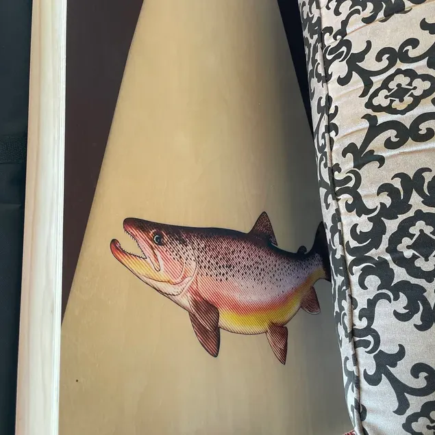 Close view of a light wood cornhole face printed with a realistic trout